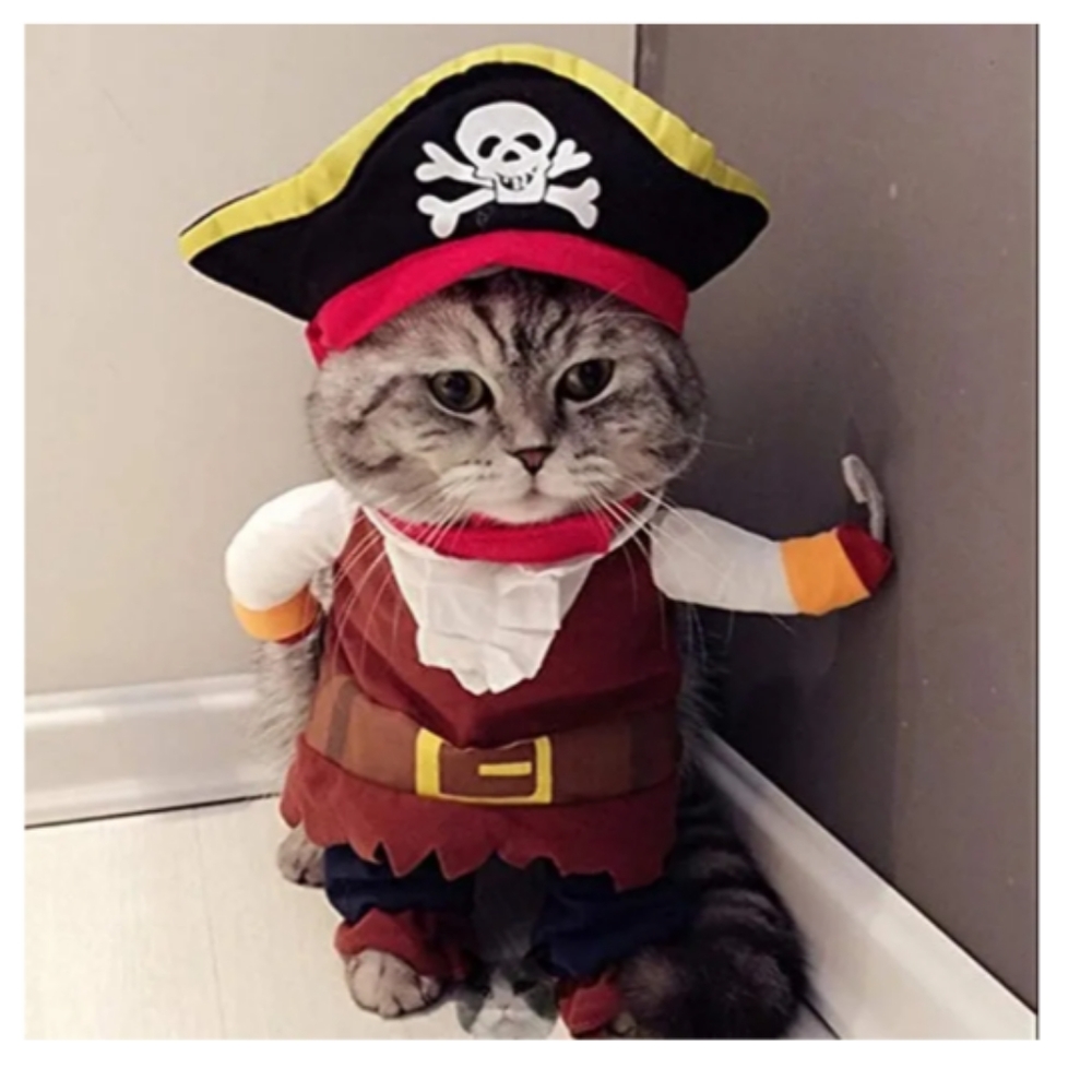 Pet costume | Cat or small dog| M | NWT